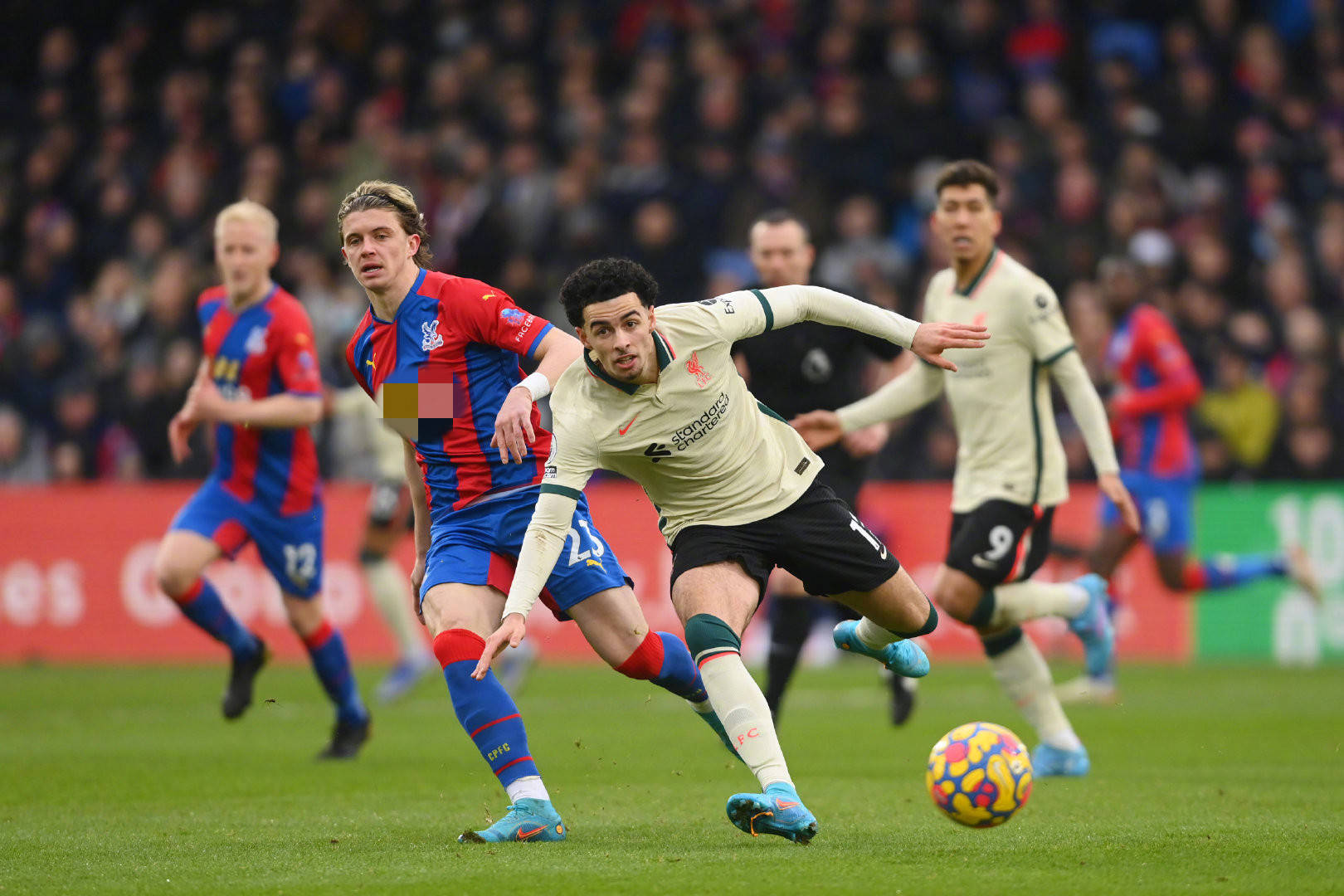 的传统一面 的传统一面